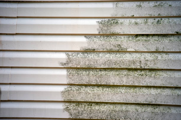 Best Carpet Removal and Disposal  in Espy, PA